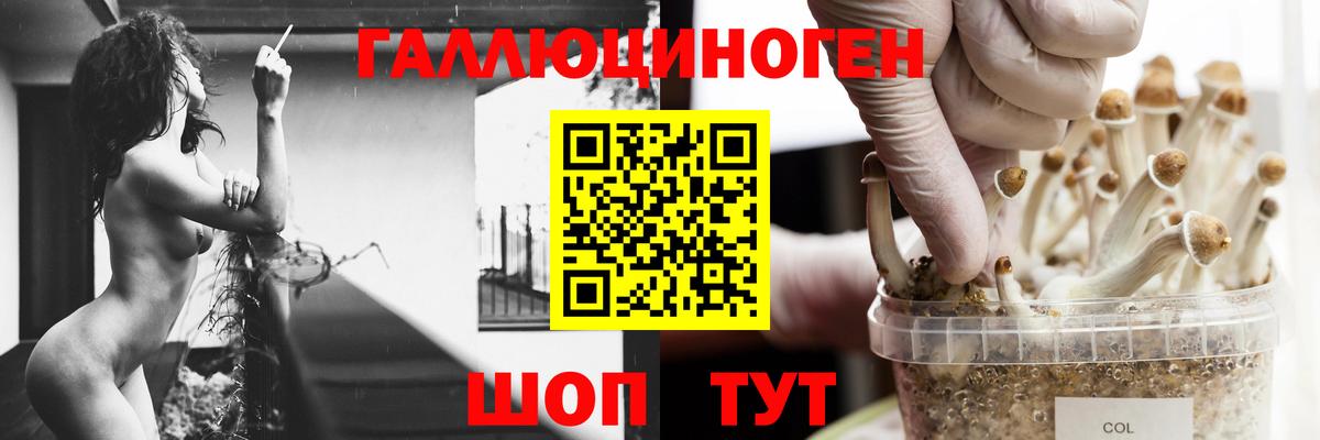 Ростов Великий  Псилоцибиновые грибы Cubensis  Галлюциногенные грибы ЛСД  Вход с VPN 